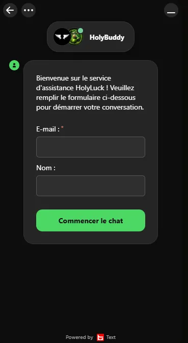 Formulaire du chat HolyBuddy avec les champs E-mail et Nom avant la conversation